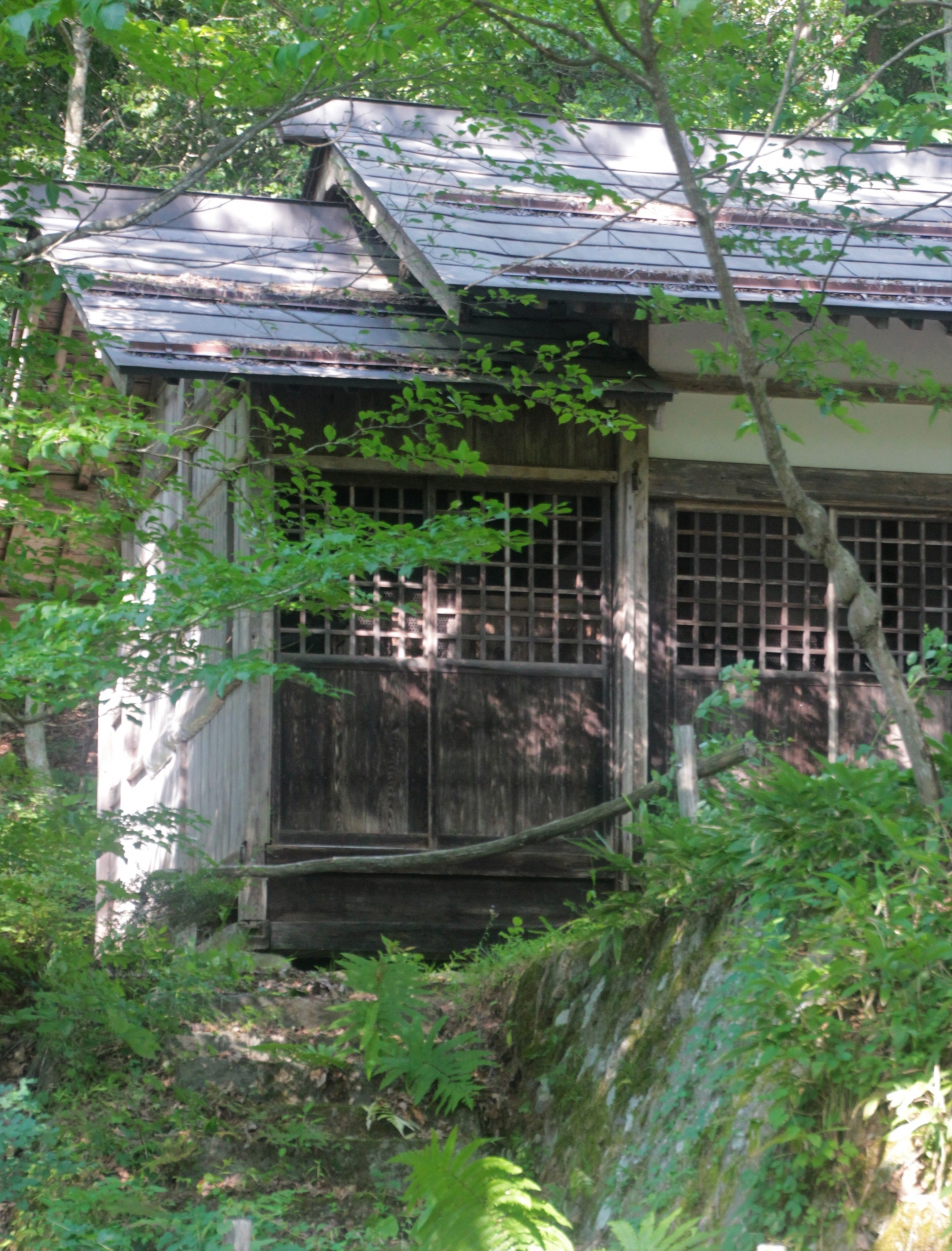 HIDA_7550