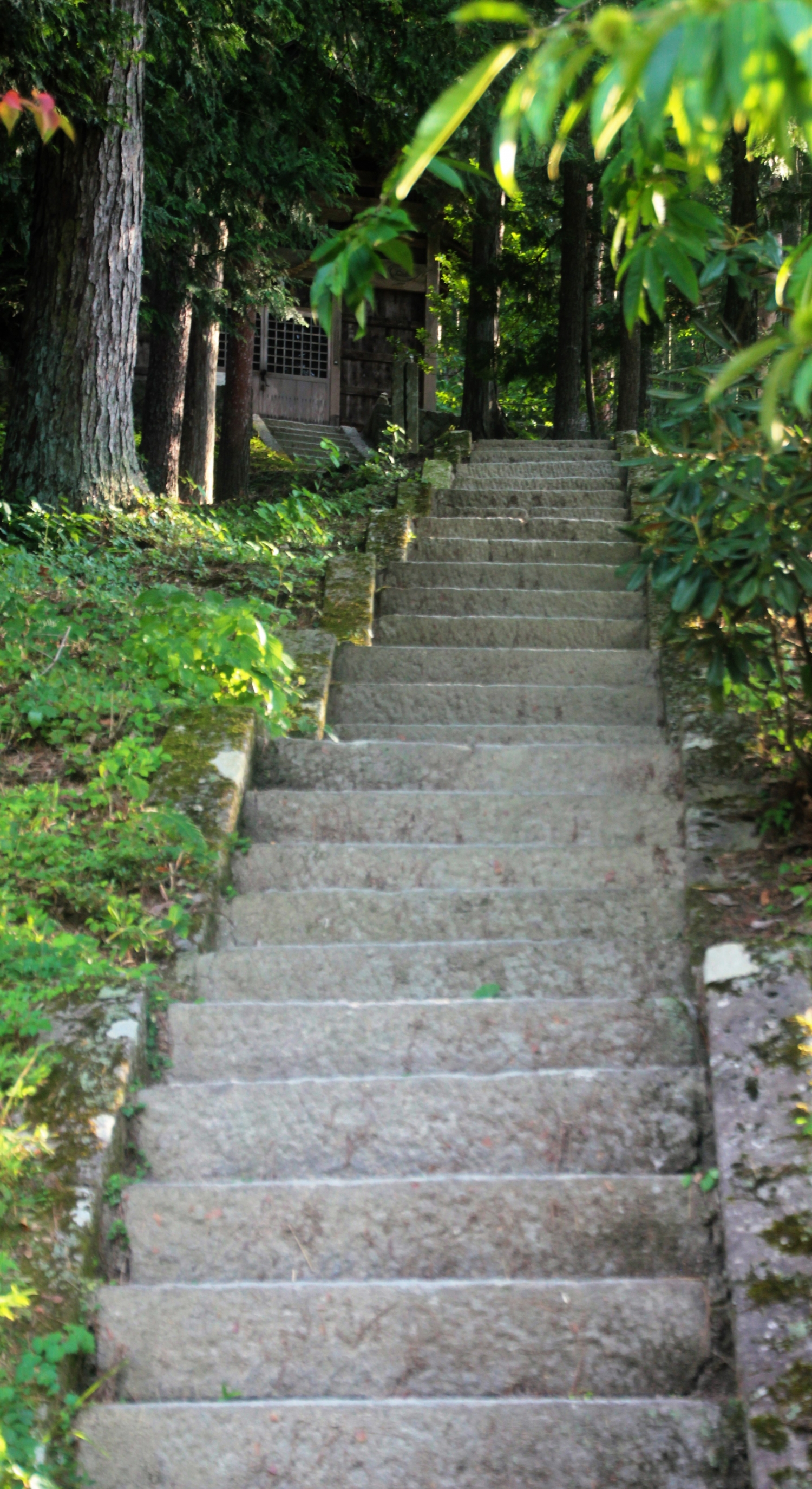 HIDA_7617
