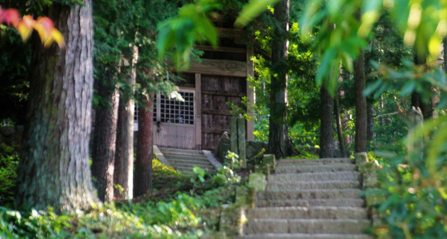 HIDA_7619