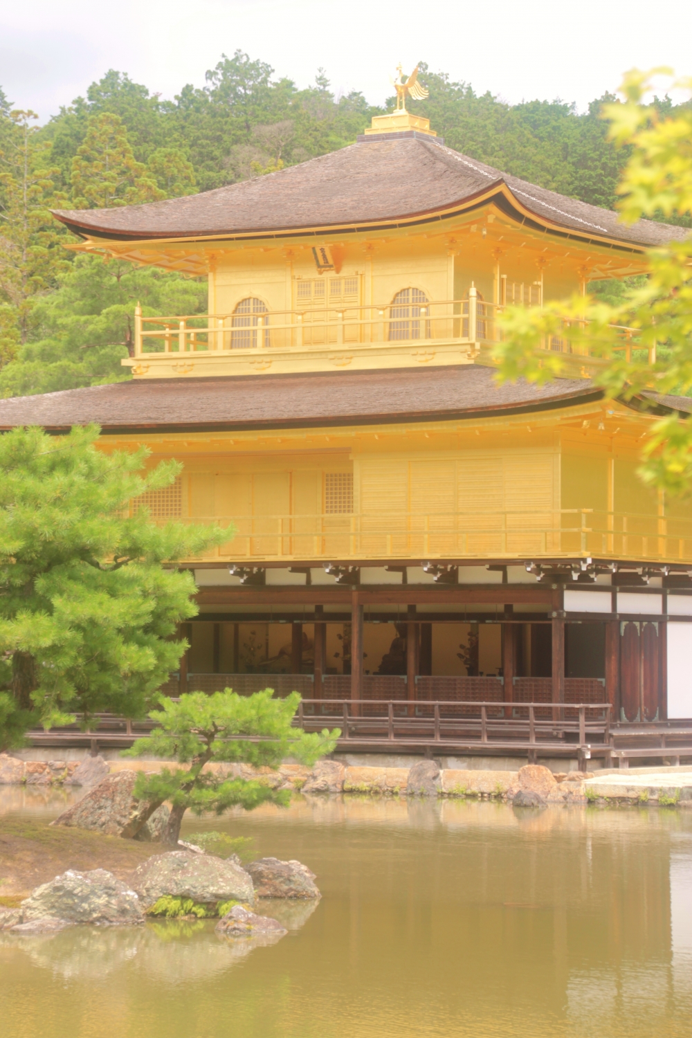 KINKAKUJI IMG_0201 (2)
