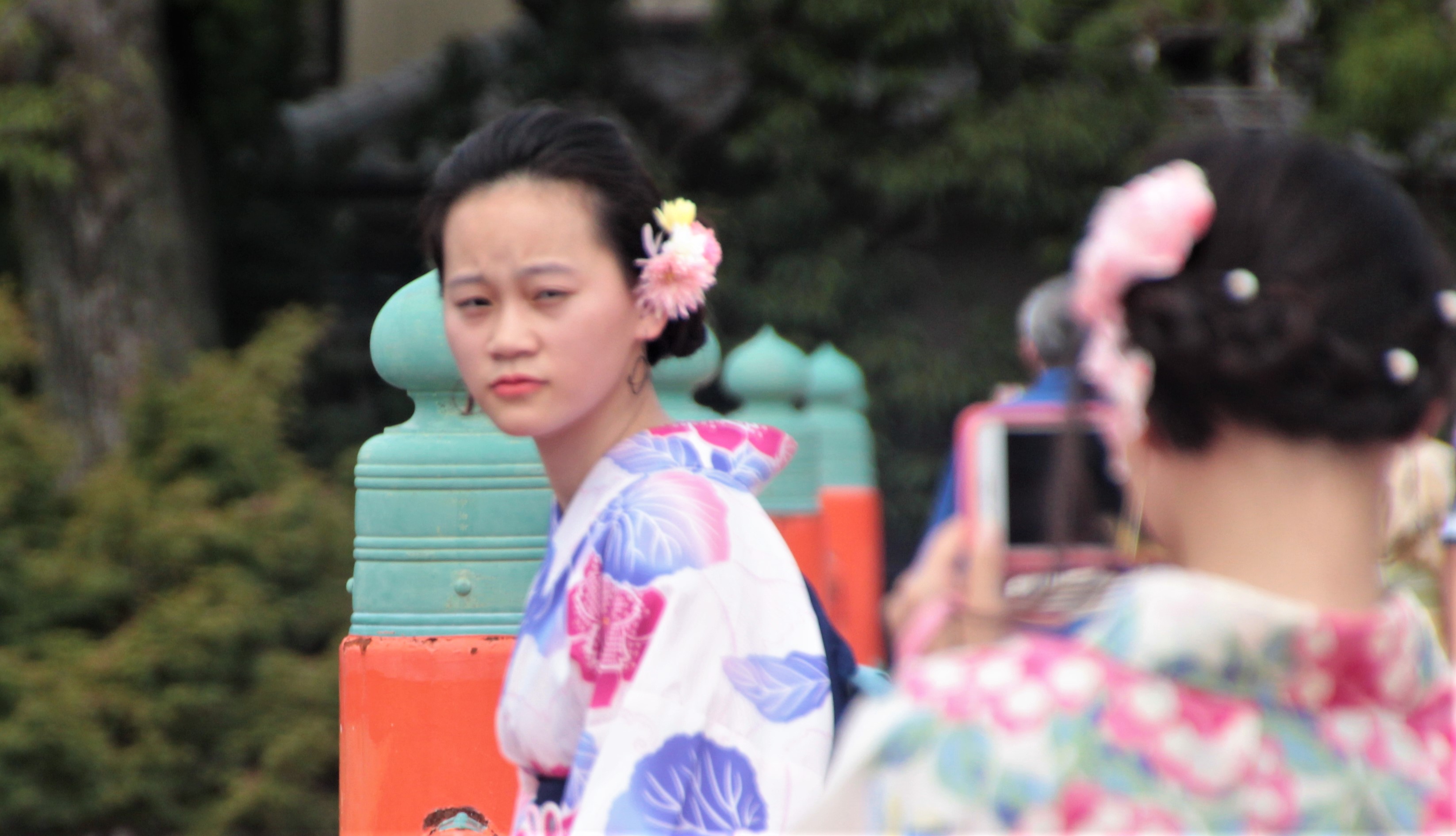 UJI_8265