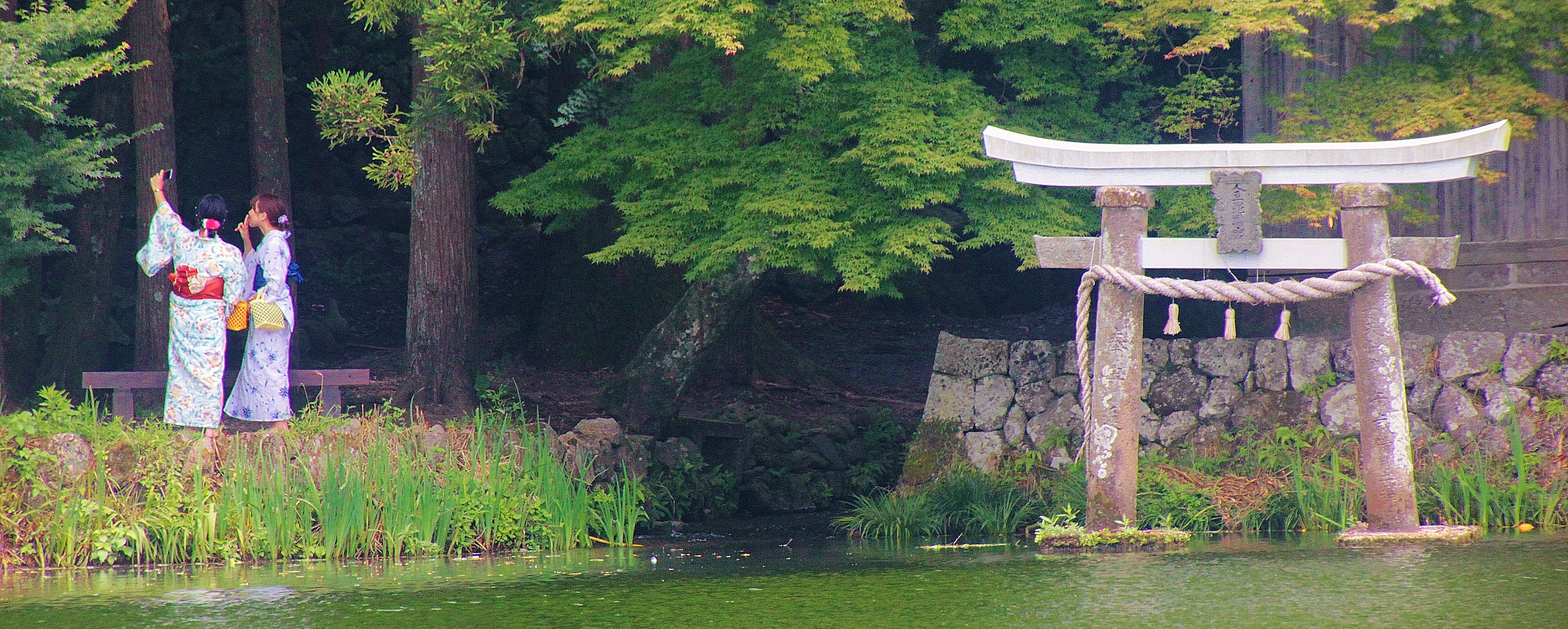 YUFUIN_8453 (2)